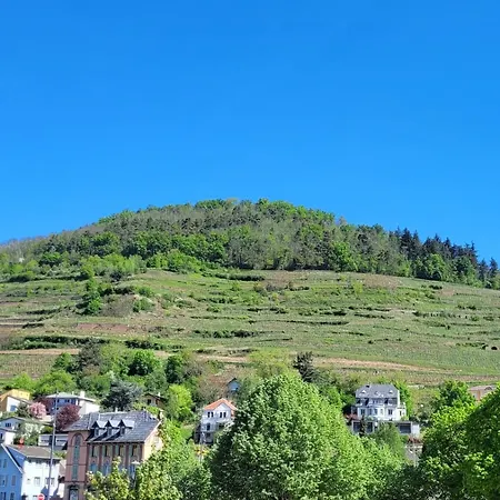 Apartmán Le Grand 27 Guebwiller